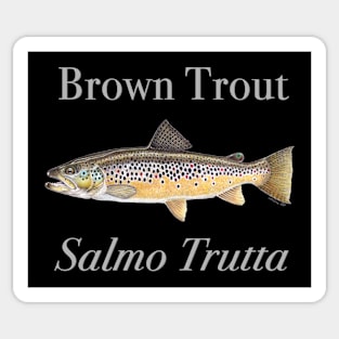 Brown Trout Sticker